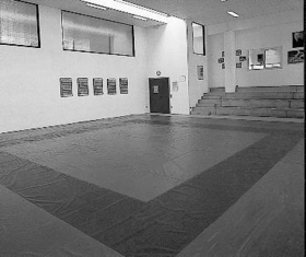 dojo