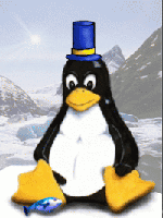 immagine tux con cappello